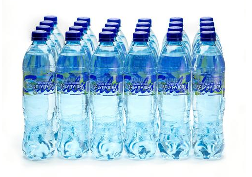 AGUA PURA SALVAVIDAS BOTELLA PAQ/24 (600ML)