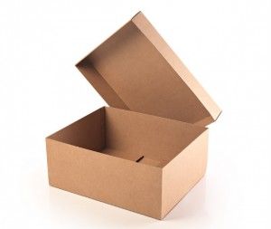 CAJAS DE CARTON PARA EXPEDIENTES CON 