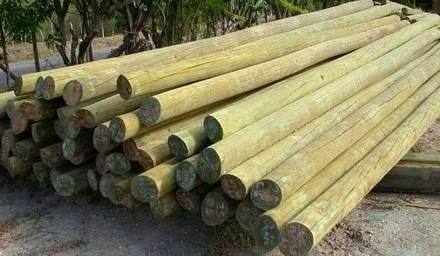POSTES DE MADERA 25 PIES