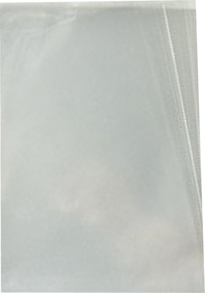 BOLSA TRANSP 25 LB PARA MONEDA INTER. C.12 