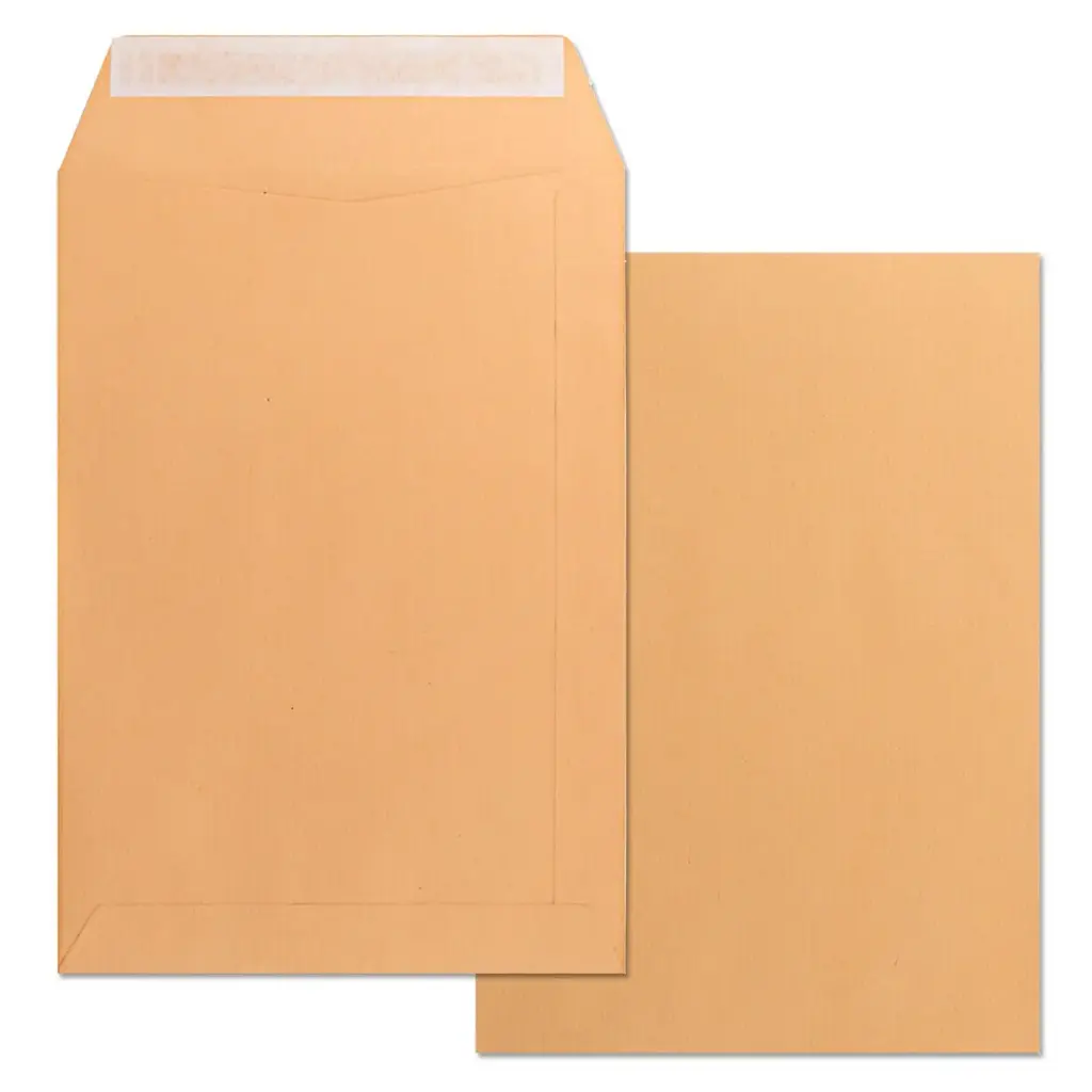 BOLSA KRAFT 3 LBS P/100
