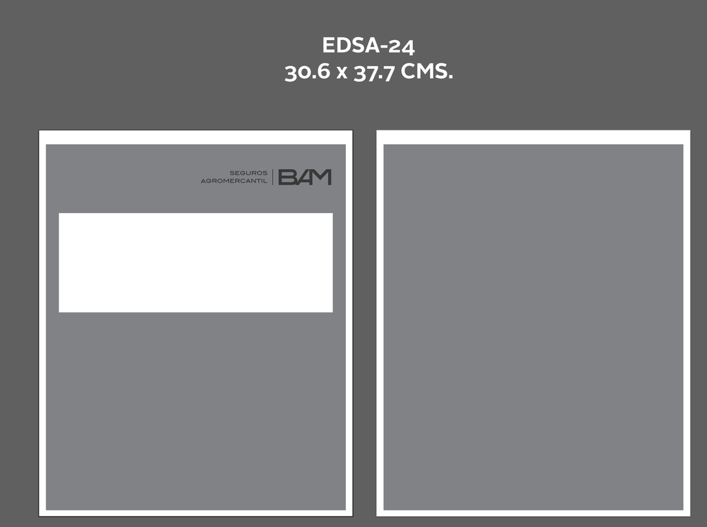 BOLSA GRIS PARA ENVIÓ DE POLIZAS EDSA-24 P/100.