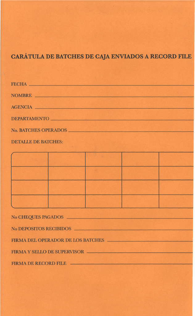 SOBRES PARA BATCHES P/100