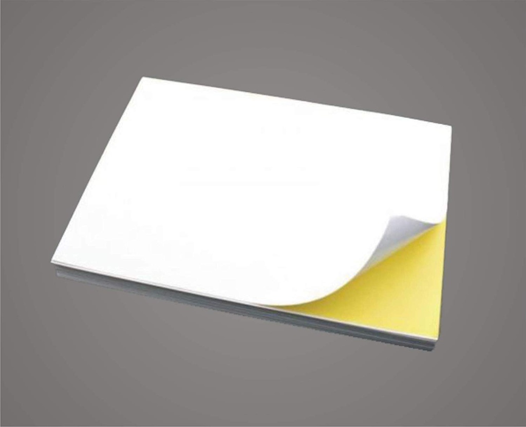 PAPEL AUTOADHESIVO MATE T/CARTA P/100