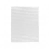 HOJAS FOAMY T/CARTA BLANCO PAQ/25