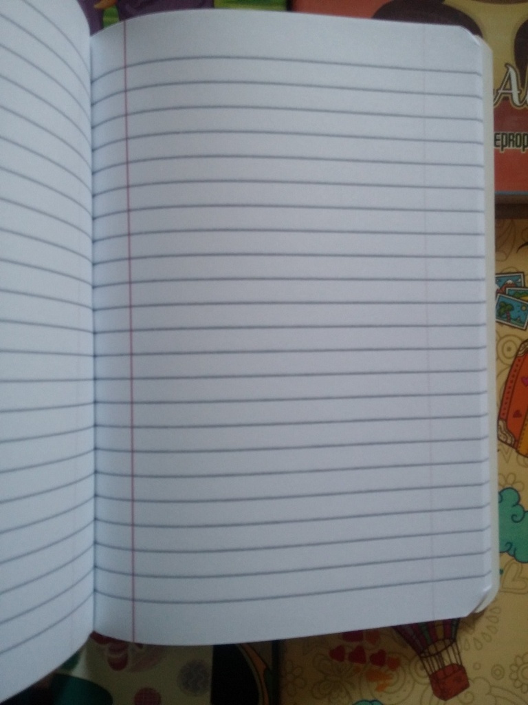 CUADERNO 100 HOJAS ENGRAPADO (LINEAS) (04121 R)