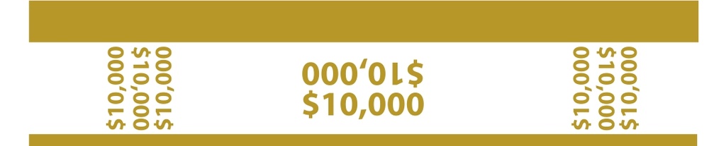 PRECINTOS DE $10,000.00 COLOR MOZTAZA BAC P/100