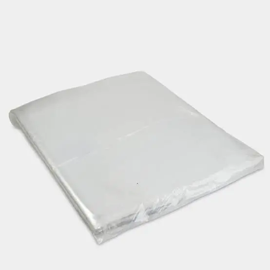 BOLSA P/MONEDA EXTRAGRANDE 100U 12x20x10 FER01-00336